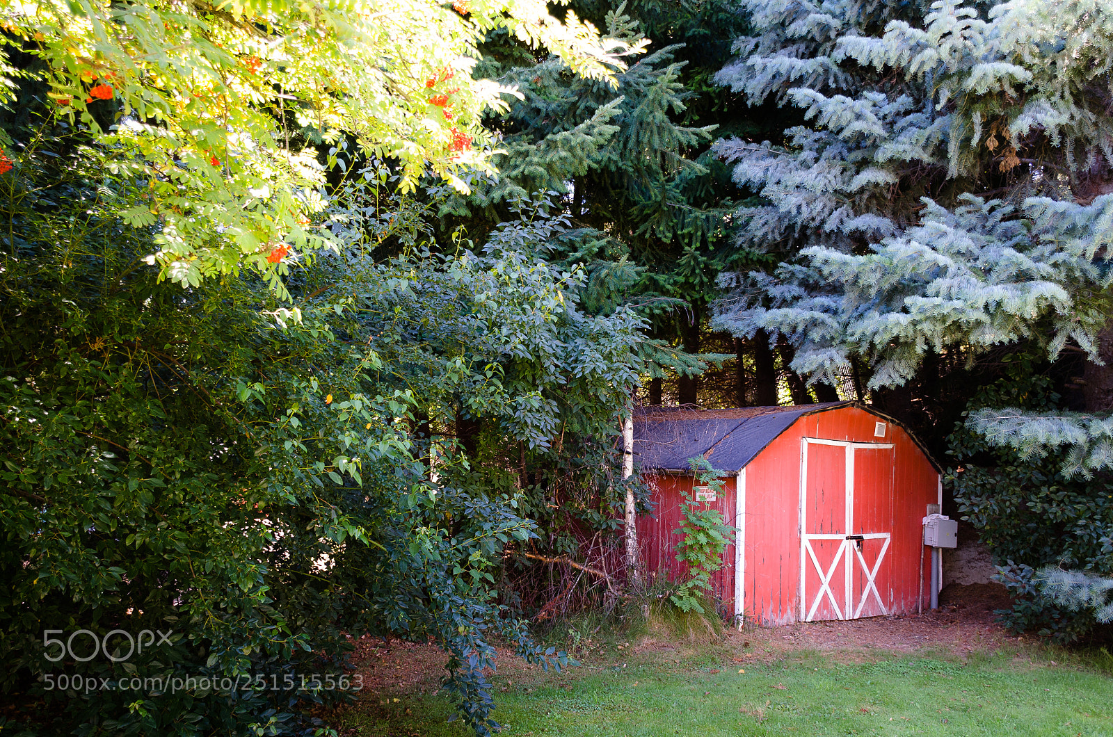 Nikon D5100 sample photo. Hidden cottage photography