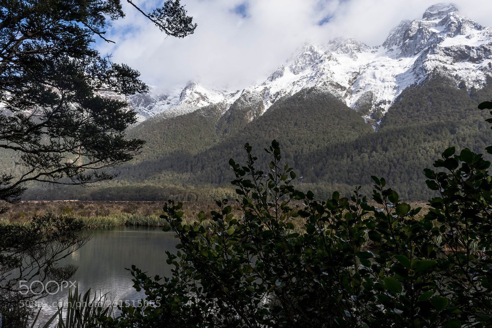 Nikon D7200 sample photo. Between the trees photography