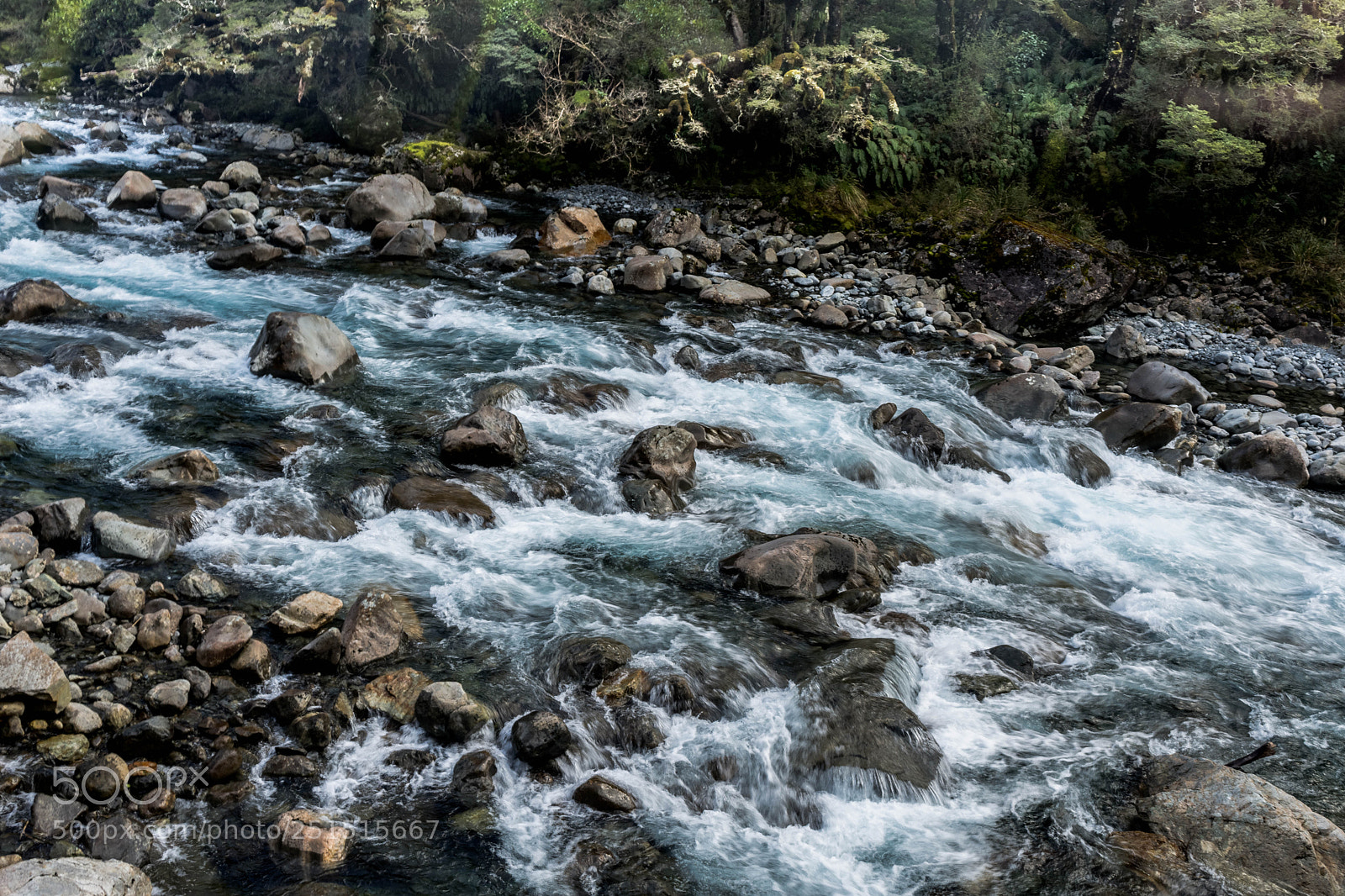 Nikon D7200 sample photo. Clean water photography