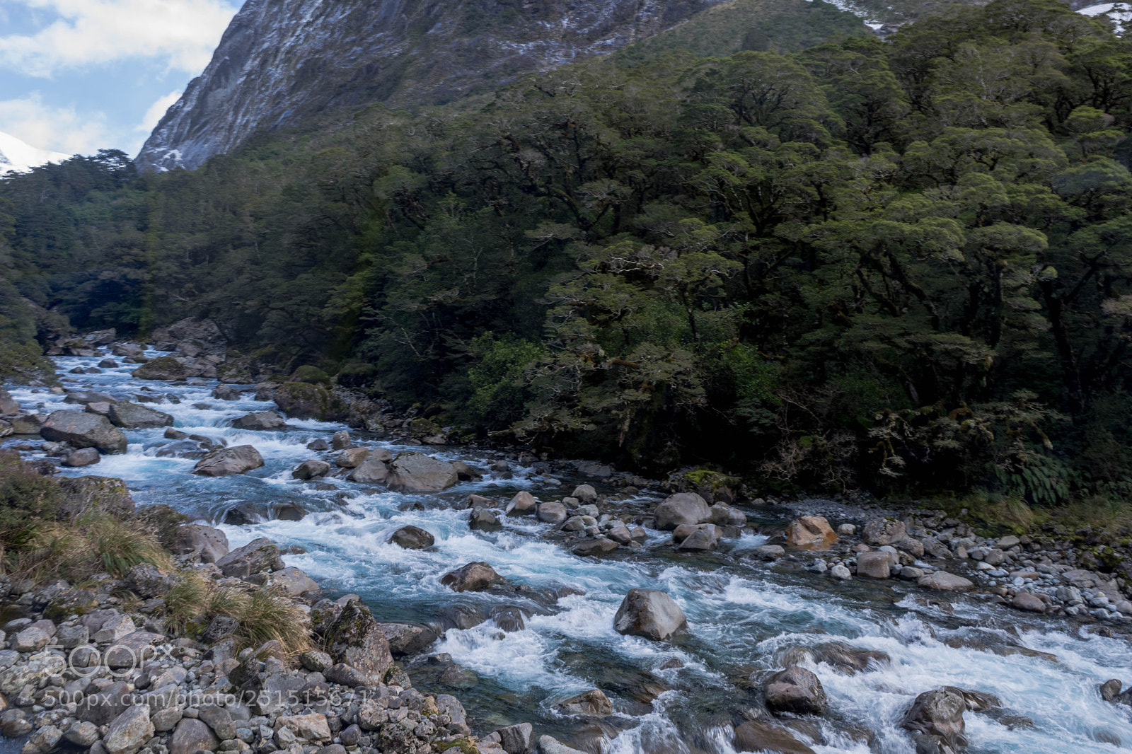 Nikon D7200 sample photo. Flowing water photography