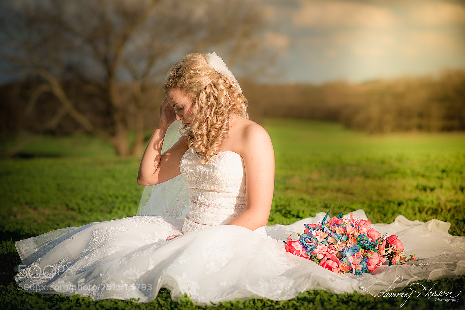 Nikon D800 sample photo. A moment in the photography
