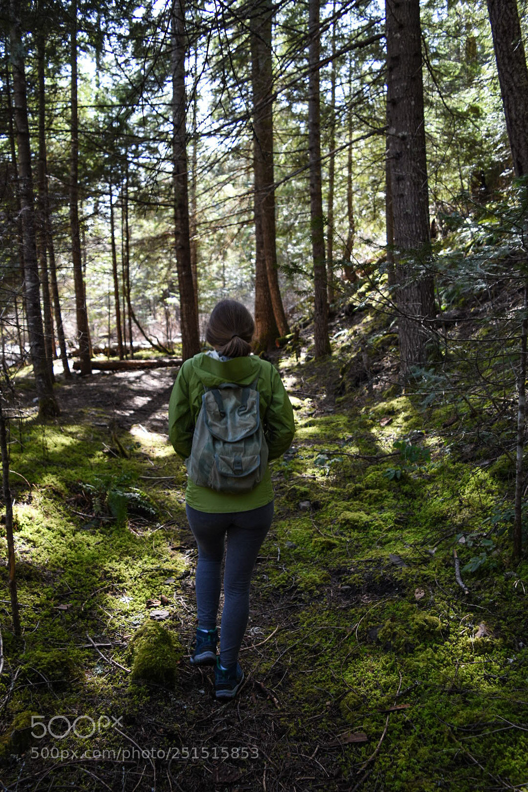 Nikon D7200 sample photo. Into the forest photography