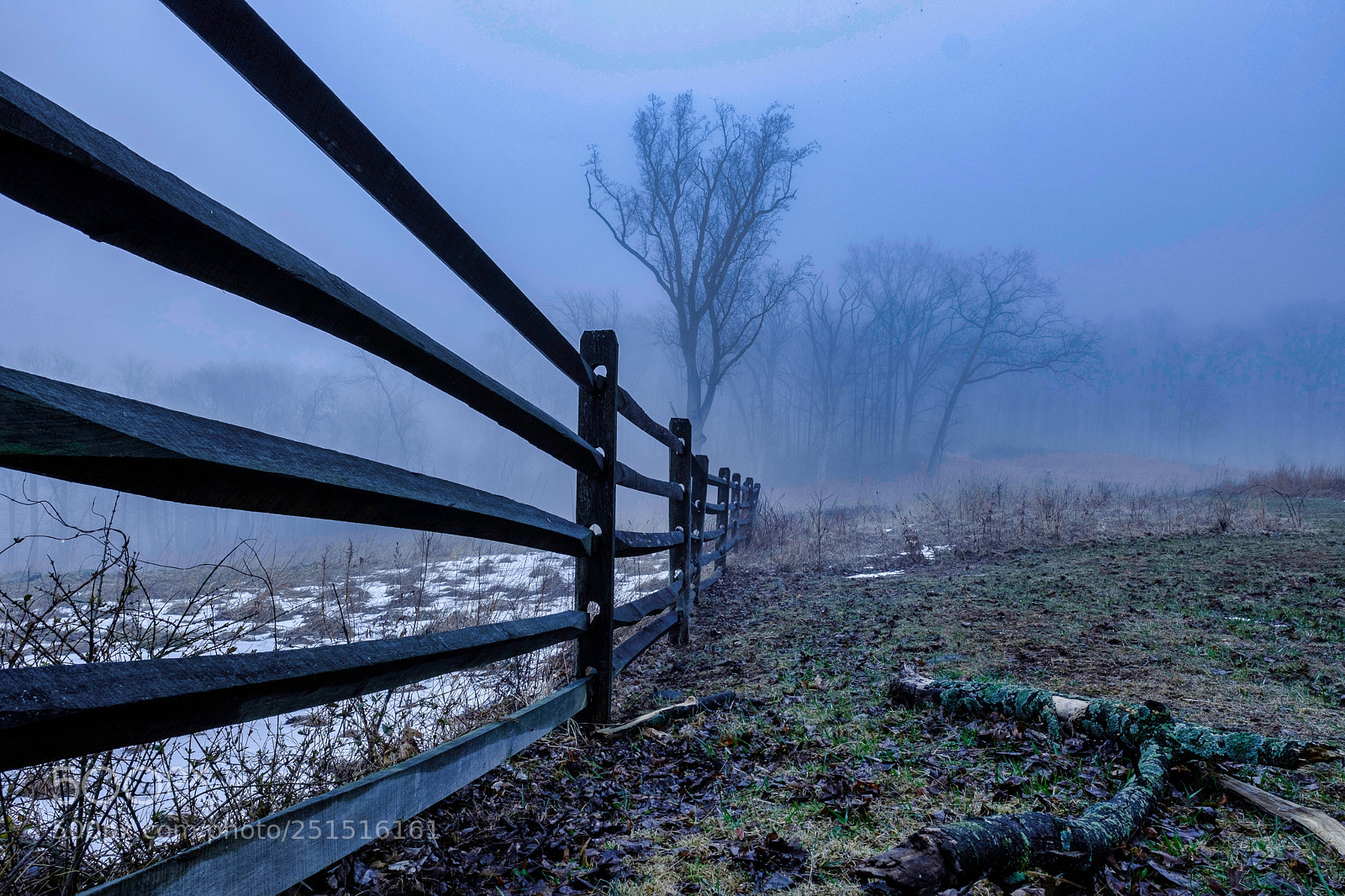 Fujifilm X-T2 sample photo. Misty morning fog photography