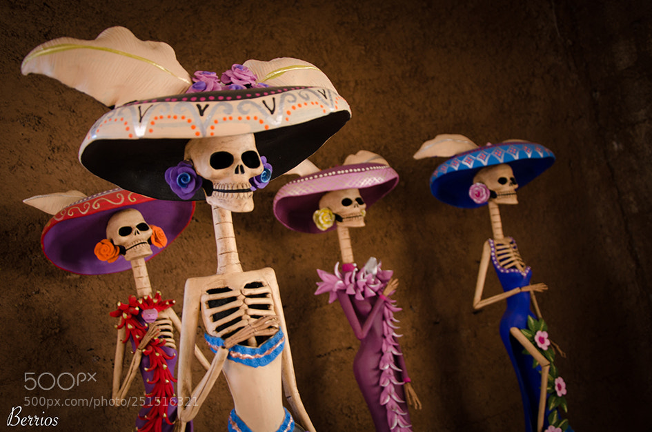 Nikon D7000 sample photo. Catrinas de michoacán photography