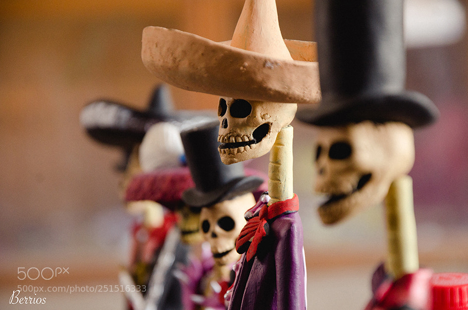Nikon D7000 sample photo. Catrinas de michoacán photography