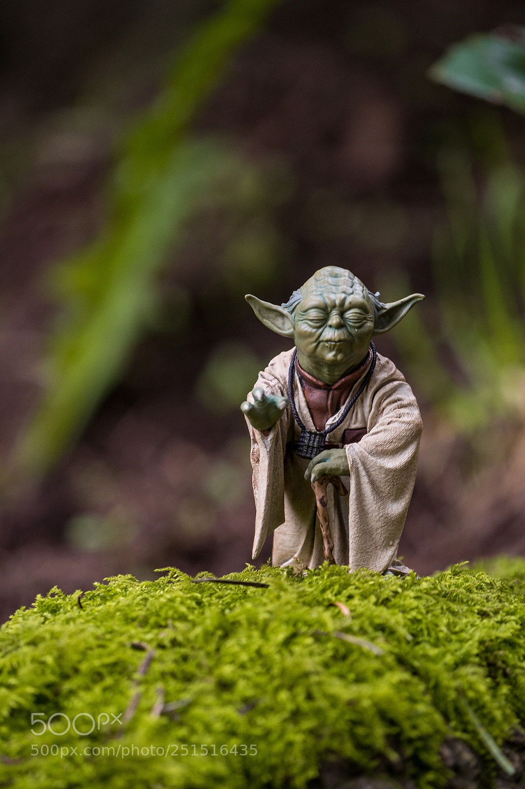 Olympus OM-D E-M5 II sample photo. May the force be photography