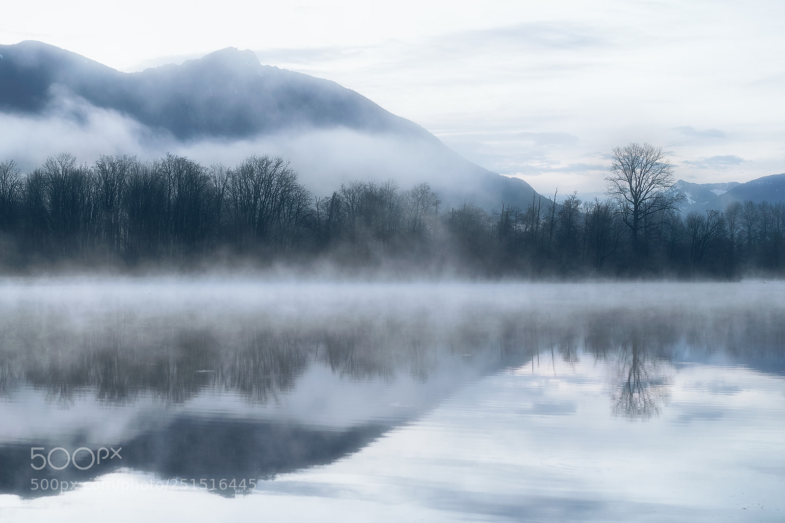 Sony a7R III sample photo. Foggy morning photography
