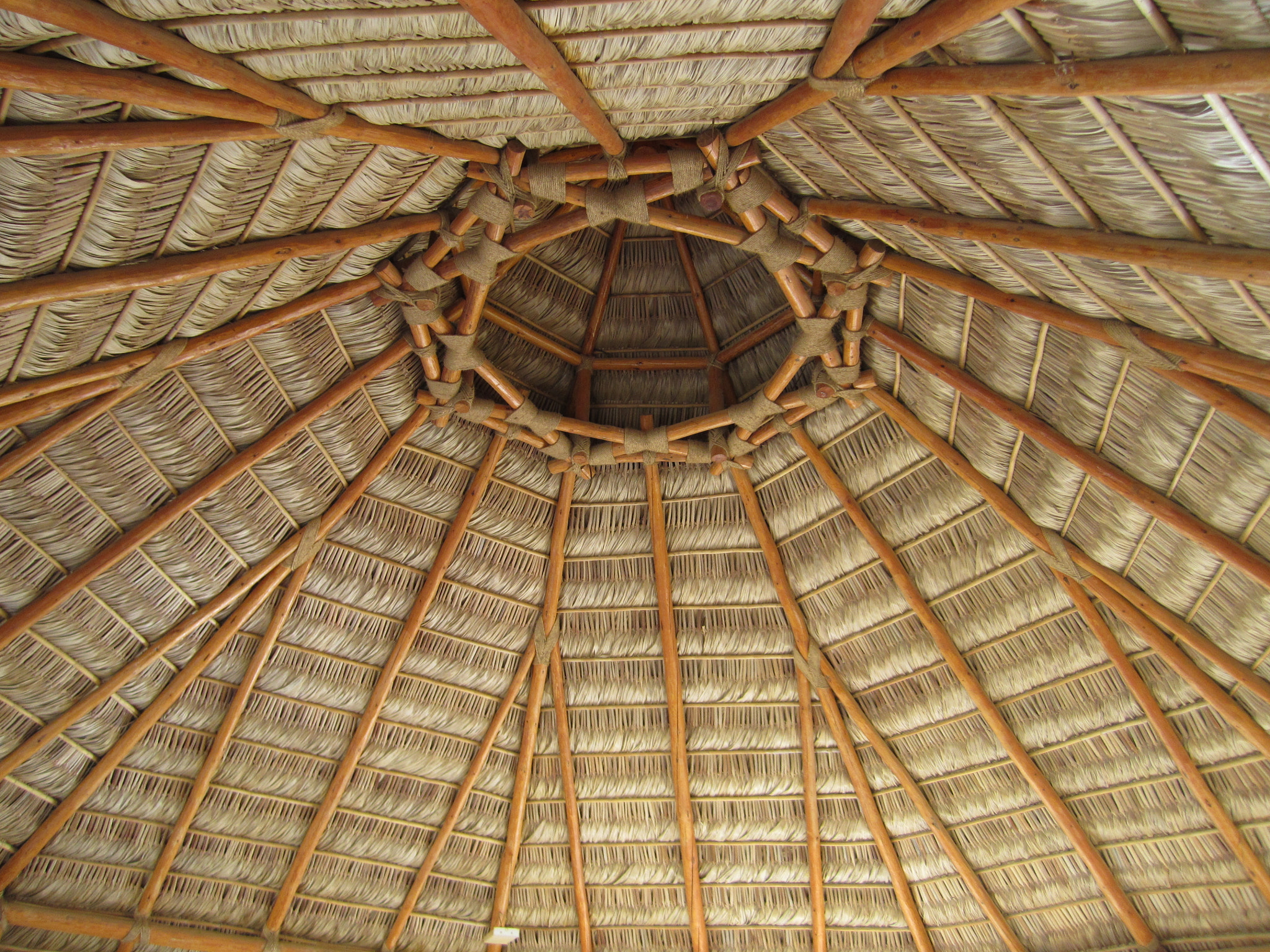 Canon PowerShot SD1400 IS (IXUS 130 / IXY 400F) sample photo. Cabo wood thatched hut roof photography