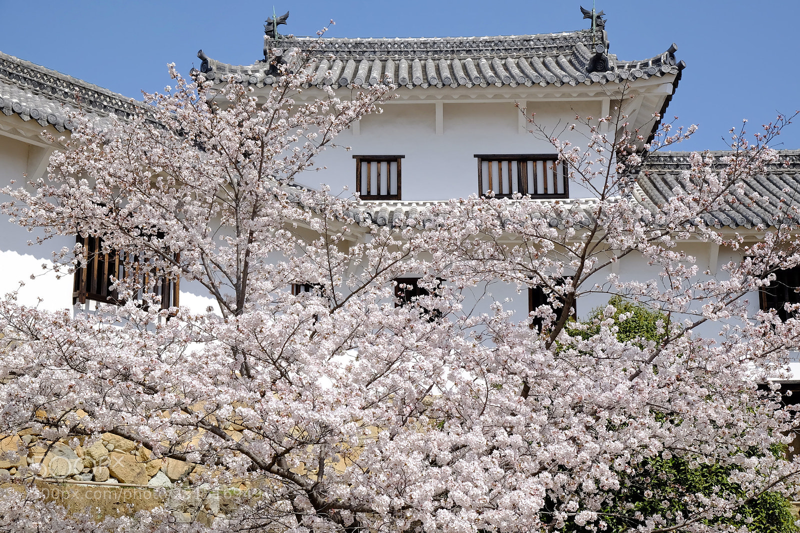 Fujifilm X-T1 sample photo. Spring photography