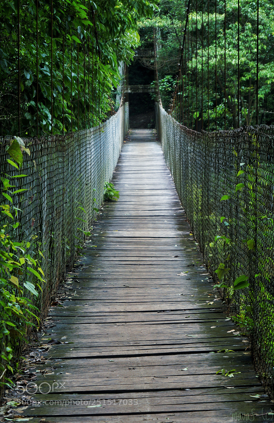 Sony SLT-A58 sample photo. Bridge to somewhere photography