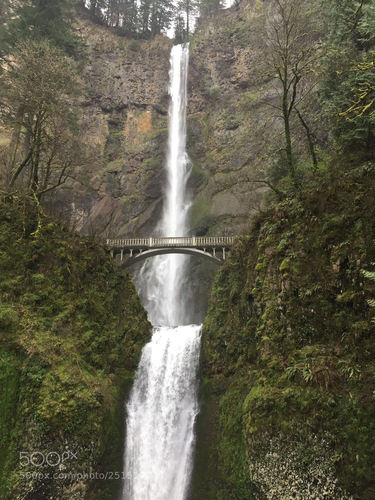 Apple iPhone 6 sample photo. Multnoma falls, oregon  photography