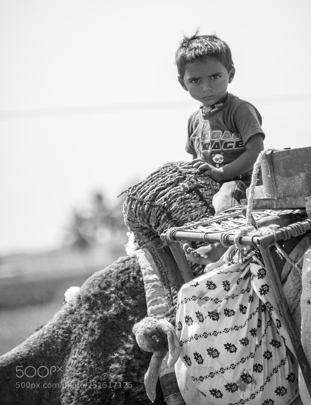 Nikon D800 sample photo. Gujarati warrior photography
