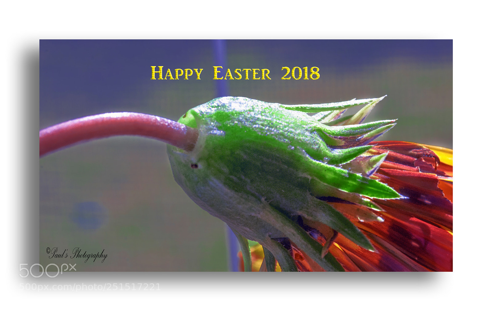 Nikon D300 sample photo. Happy easter photography