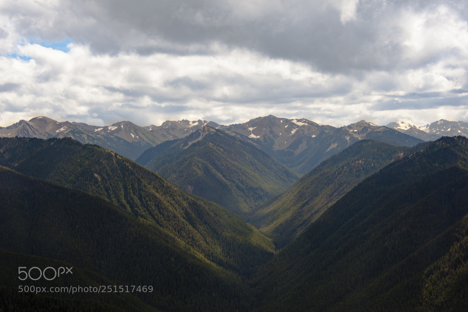 Nikon D700 sample photo. Hurricane ridge, olympic national photography