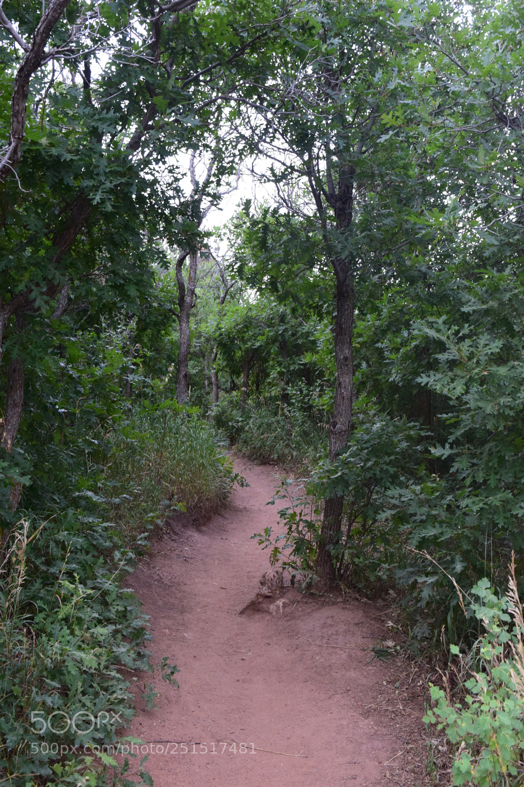 Nikon D3300 sample photo. Dsc photography