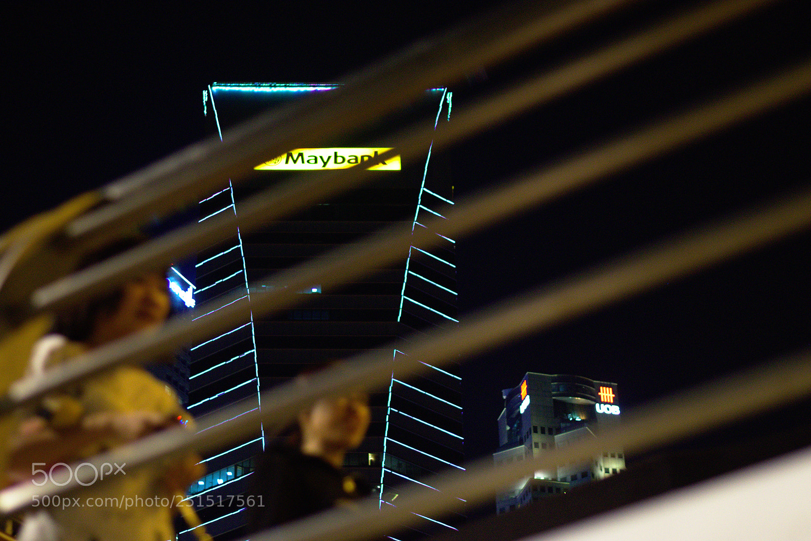 Nikon D5300 sample photo. Dsc photography