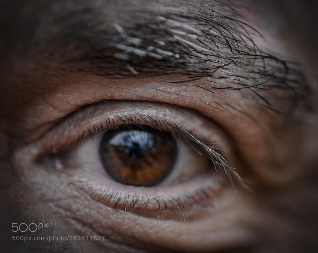 Nikon D810 sample photo. Although the eye was photography