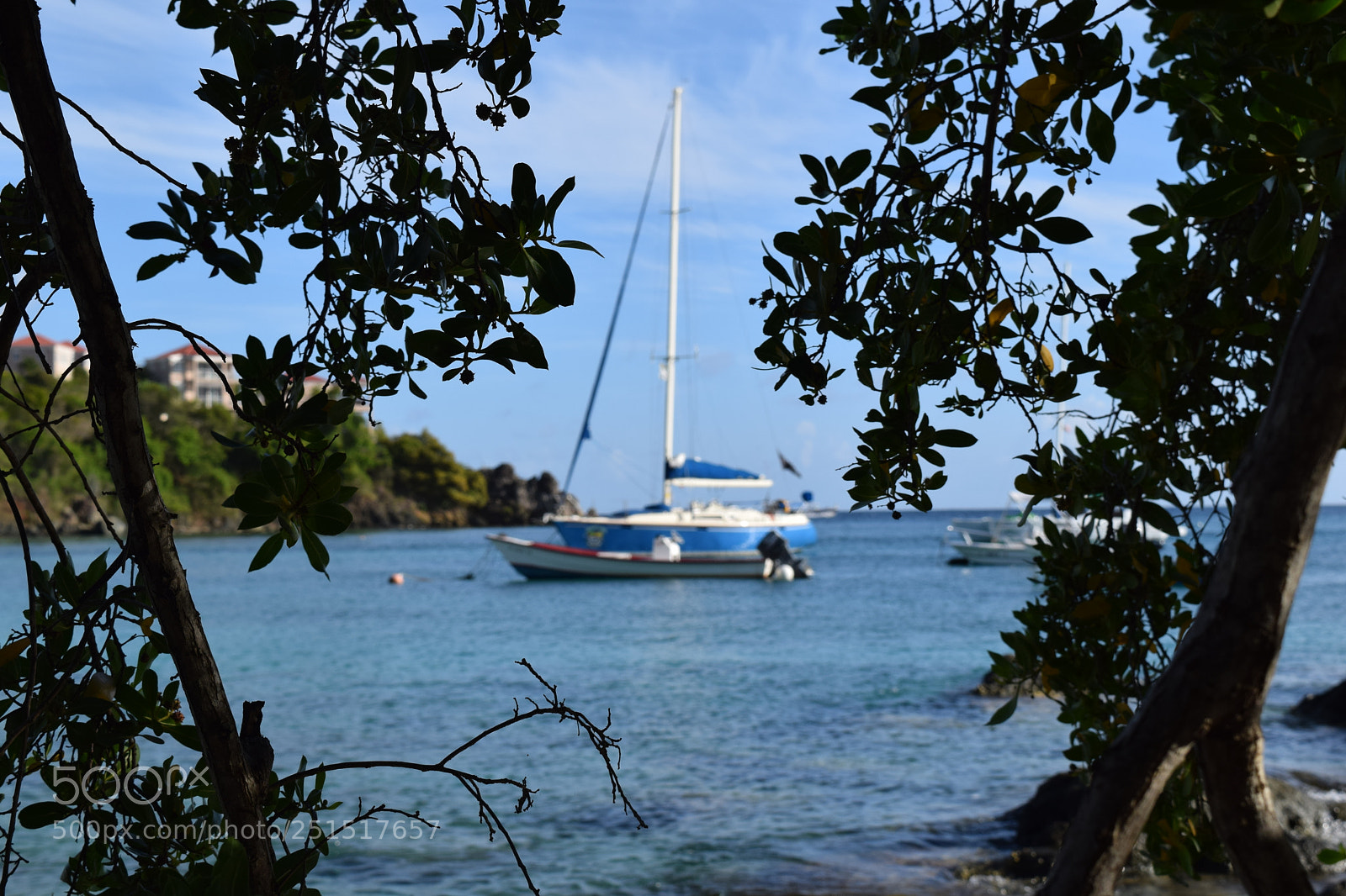 Nikon D3300 sample photo. Dsc photography