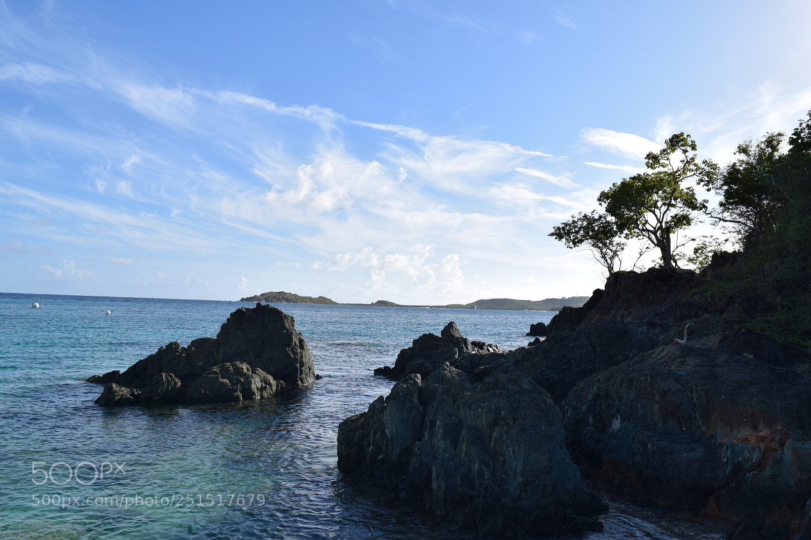 Nikon D3300 sample photo. Dsc photography