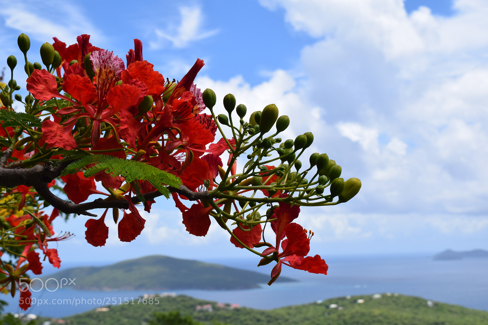 Nikon D3300 sample photo. Dsc photography