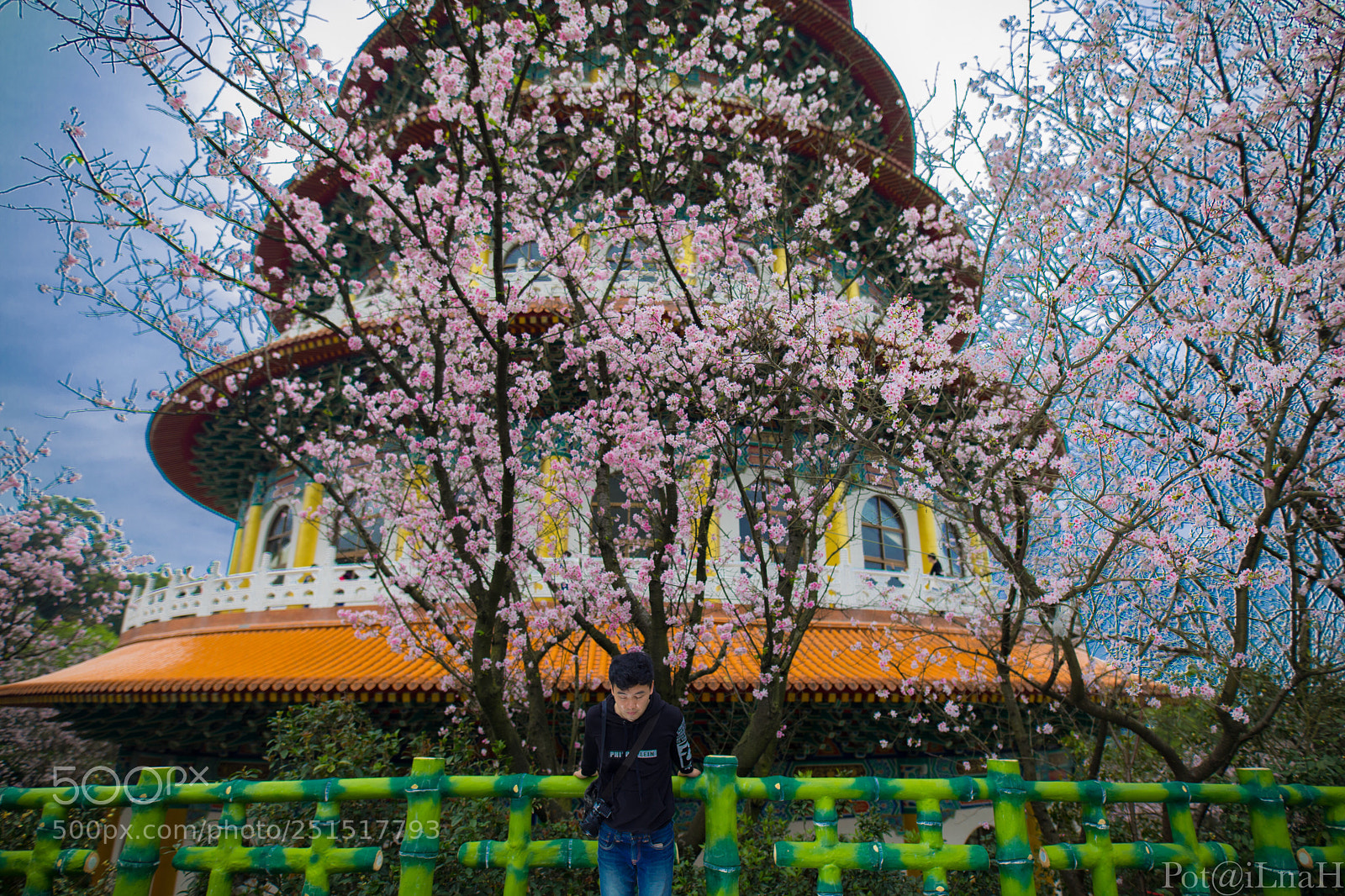 Canon EOS 5D Mark IV sample photo. Untitled photography