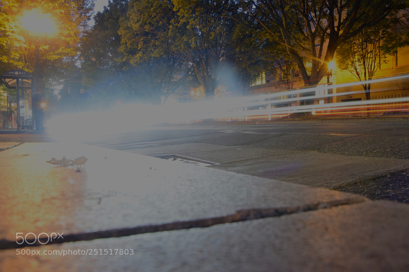 Nikon D3300 sample photo. Fullsizeoutput photography