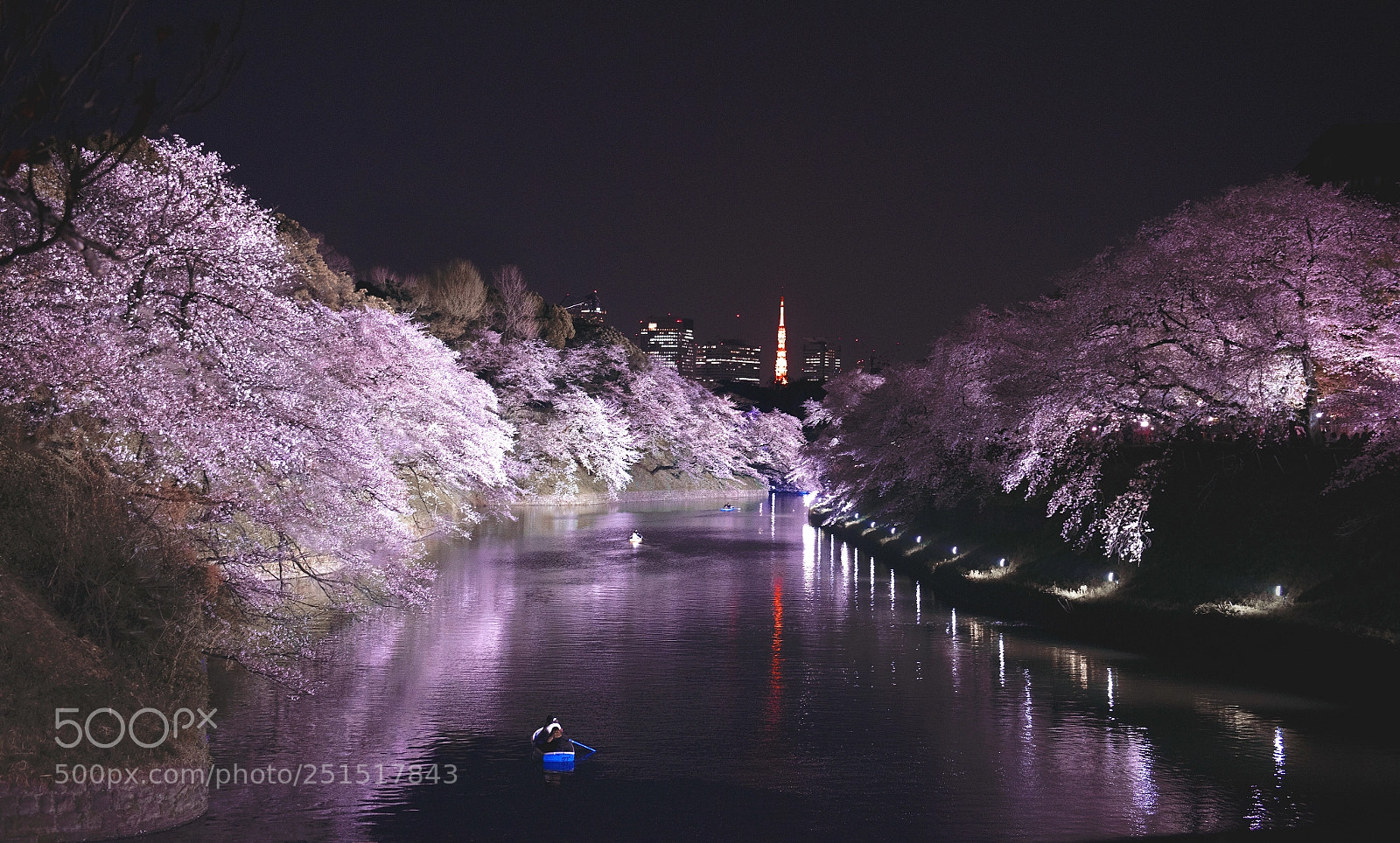 Nikon D810 sample photo. 千鳥ヶ淵 、夜桜 photography