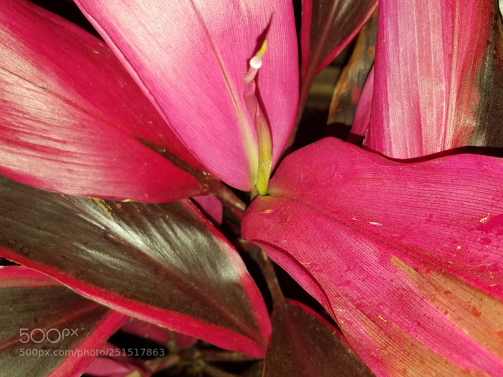 Samsung Galaxy S7 sample photo. Ltc photography