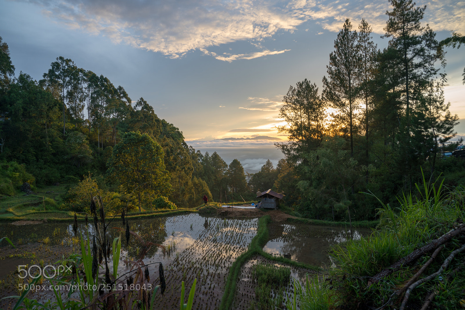 Sony a9 sample photo. Harmony photography