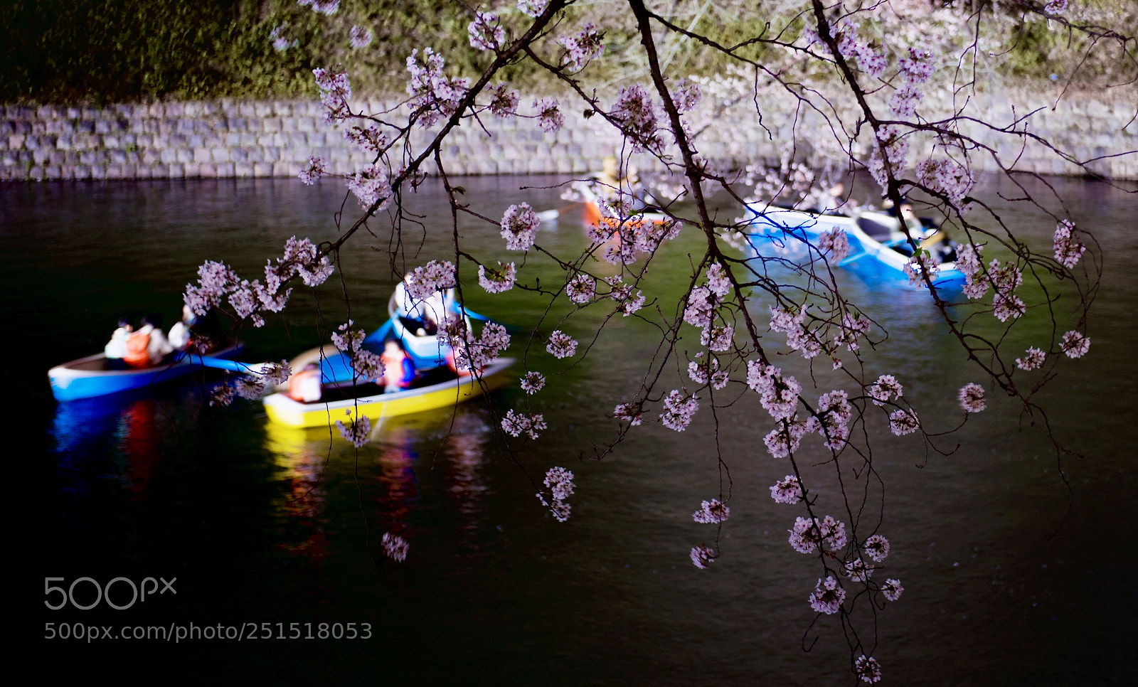 Nikon D810 sample photo. 千鳥ヶ淵 、夜桜 photography