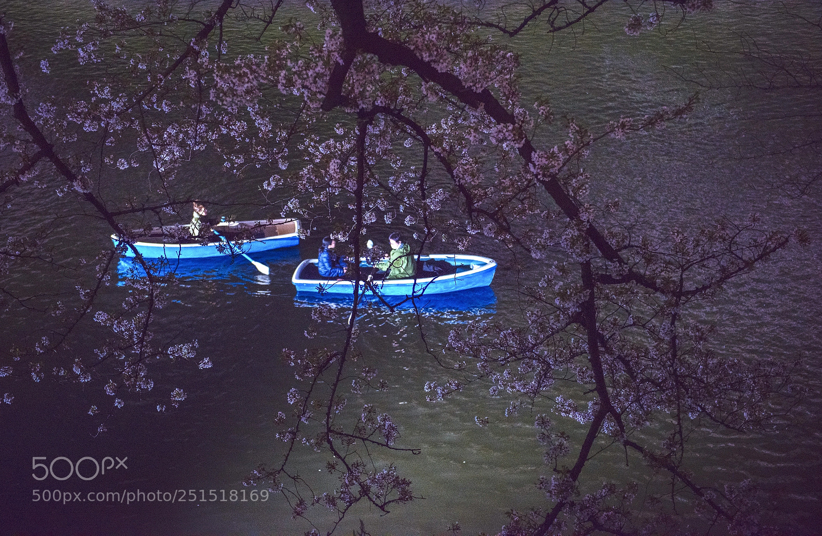 Nikon D810 sample photo. 千鳥ヶ淵 、夜桜 photography