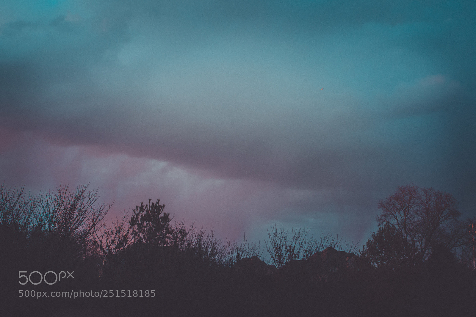 Nikon D7500 sample photo. Evening pastel photography