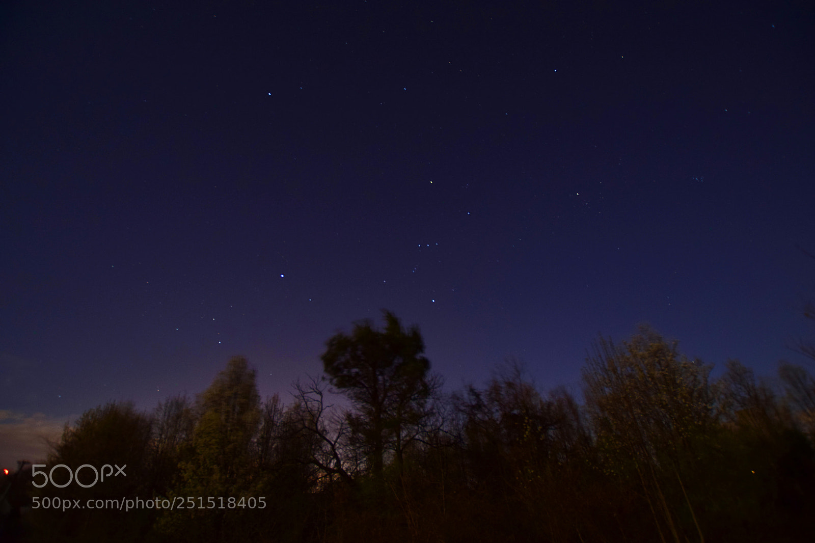 Nikon D5300 sample photo. Night sky photography