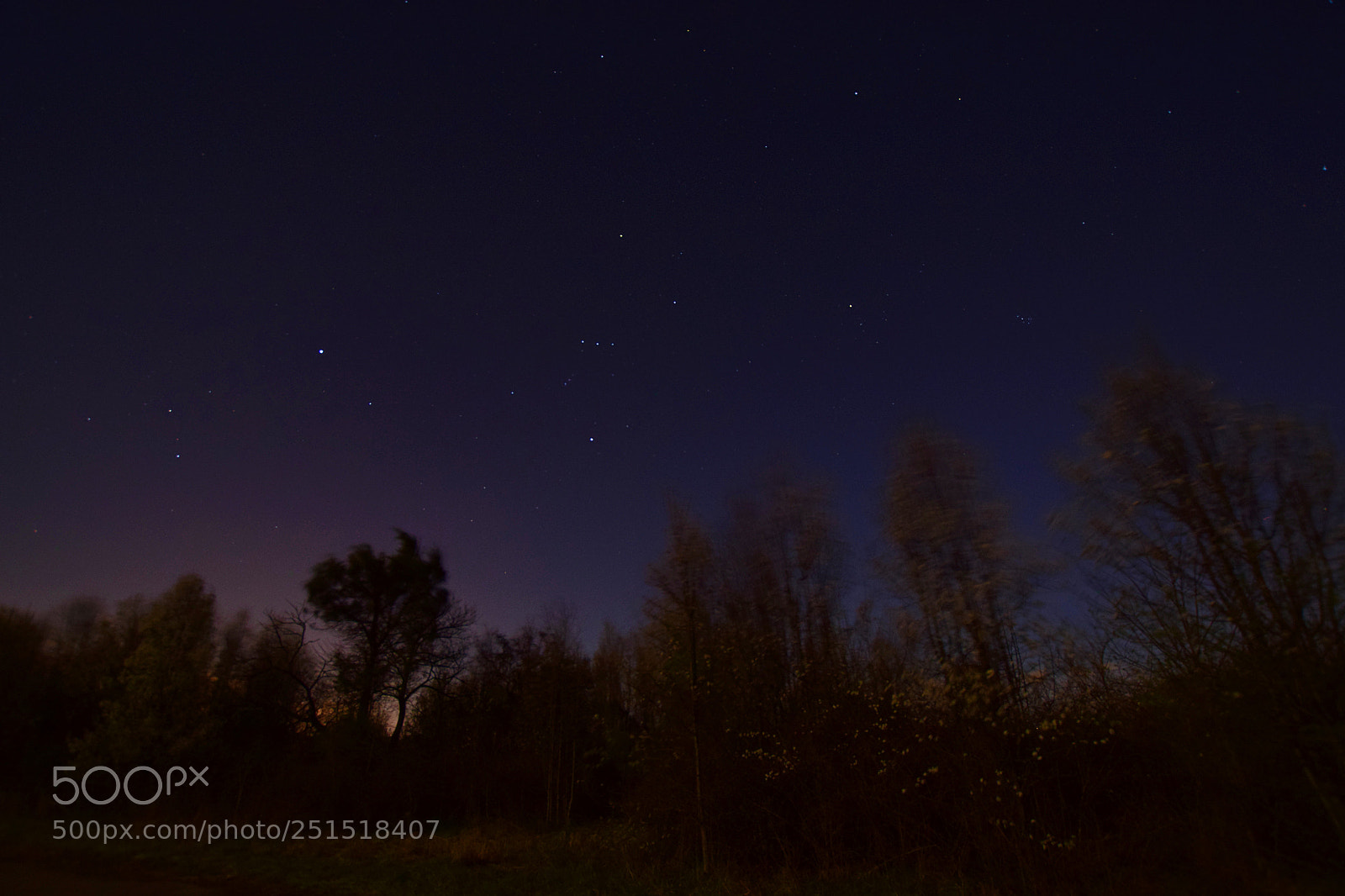 Nikon D5300 sample photo. Night sky ii photography