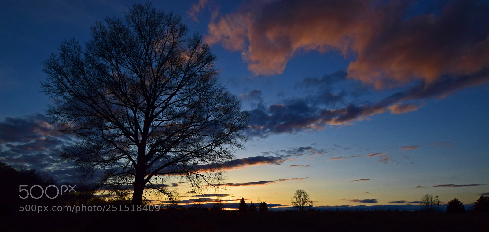 Nikon D5300 sample photo. Mason neck dusk photography