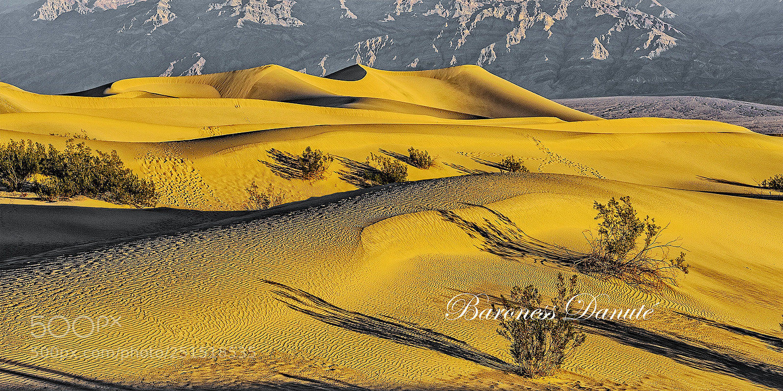 Nikon D3 sample photo. Dunes at sunset photography