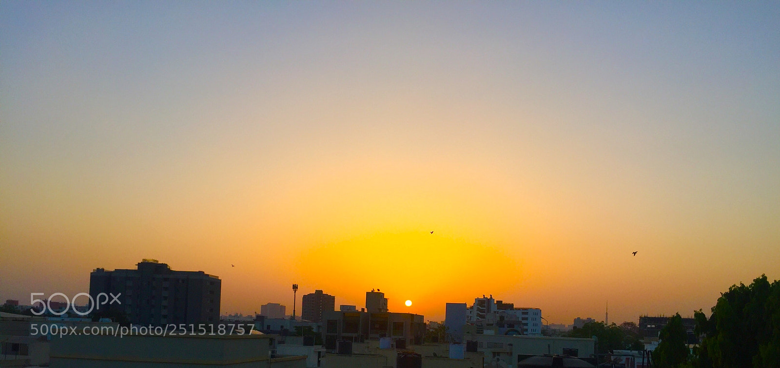Apple iPhone 6 sample photo. The refreshing morning! photography