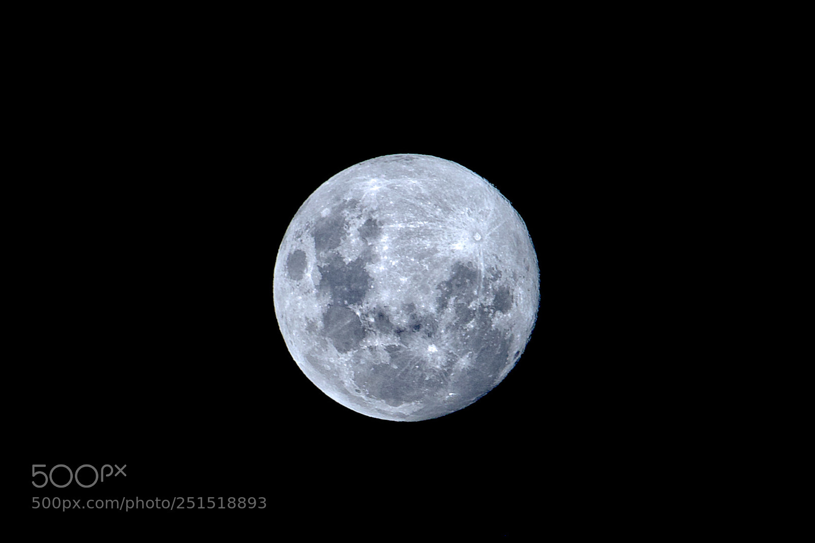 Canon EOS 70D sample photo. Inspiration photography