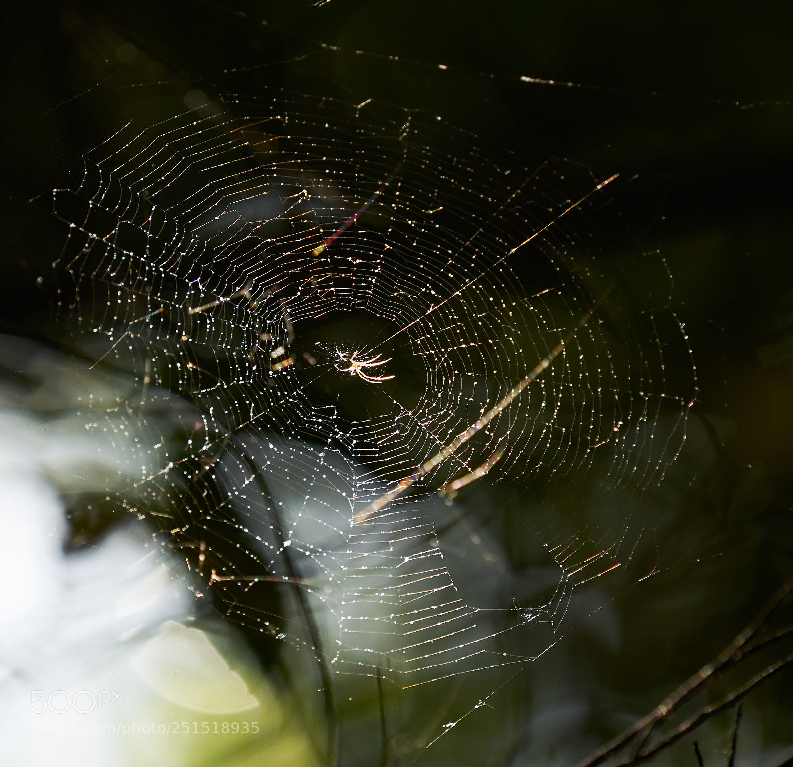 Sony a7R III sample photo. Spinning photography