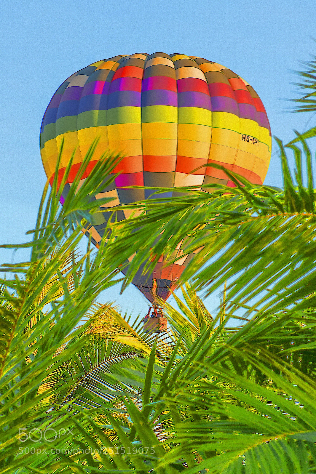 Nikon D800E sample photo. Au fond du jardin photography