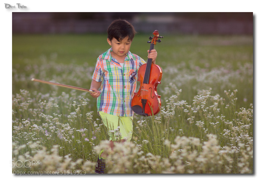 Canon EOS-1D Mark IV sample photo. Khang tran photography