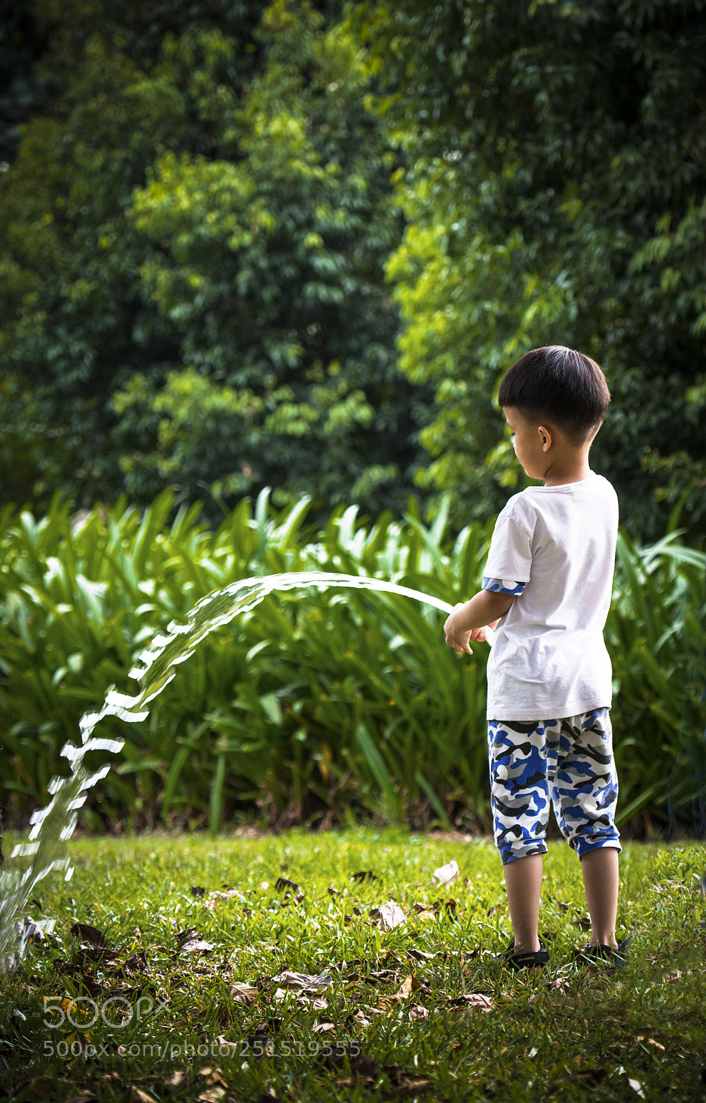 Nikon D800 sample photo. Omg photography