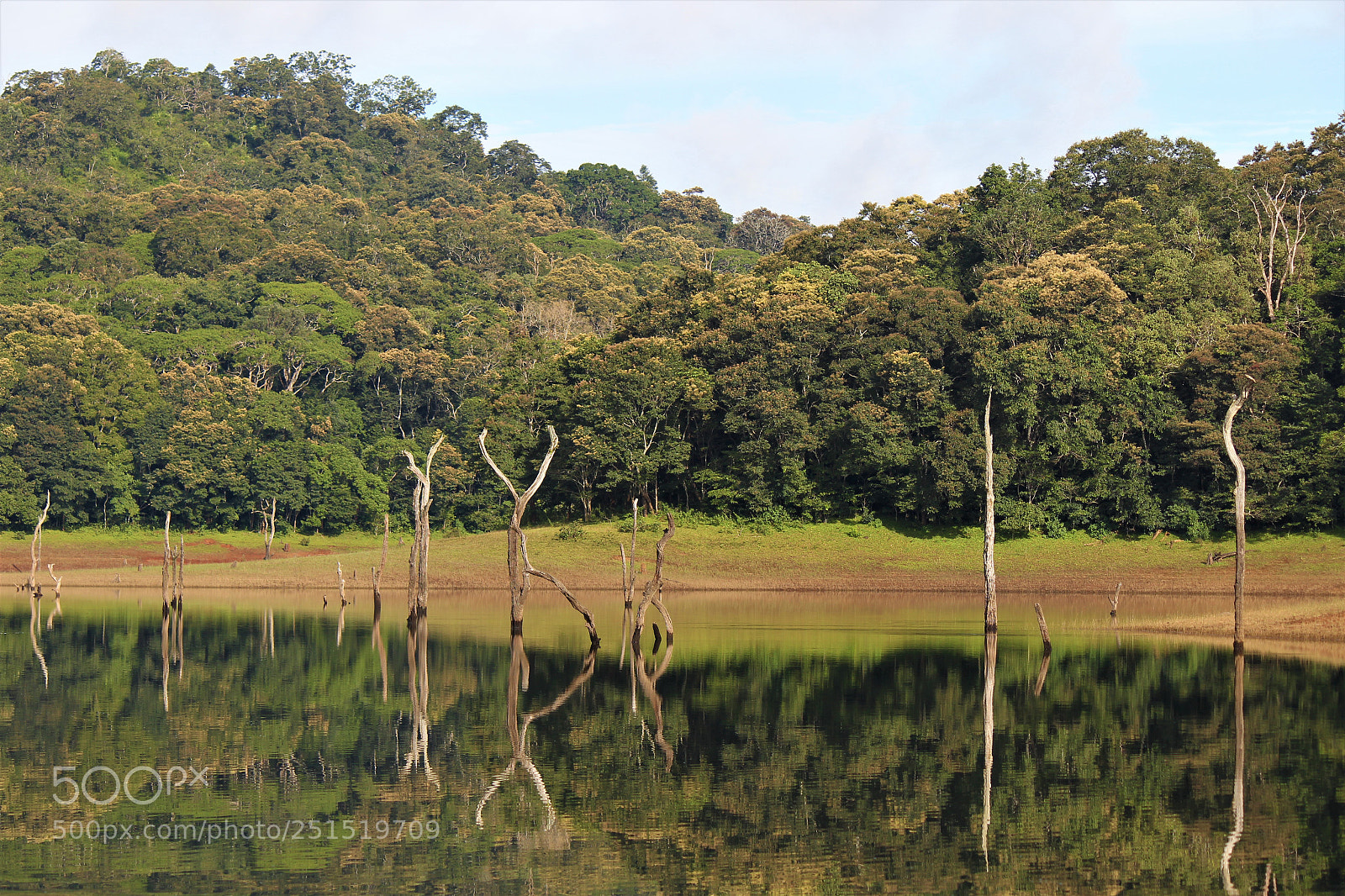 Canon EOS 600D (Rebel EOS T3i / EOS Kiss X5) sample photo. Reflection in still water photography