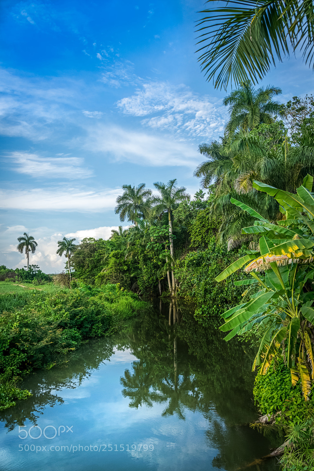 Nikon D5300 sample photo. Landscape reflection photography