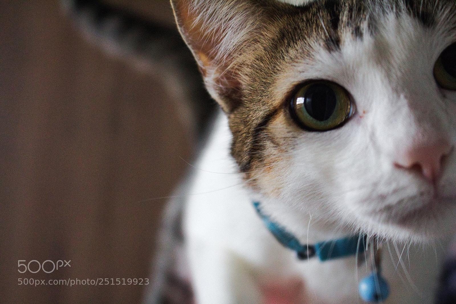 Canon EOS 700D (EOS Rebel T5i / EOS Kiss X7i) sample photo. #1 photography