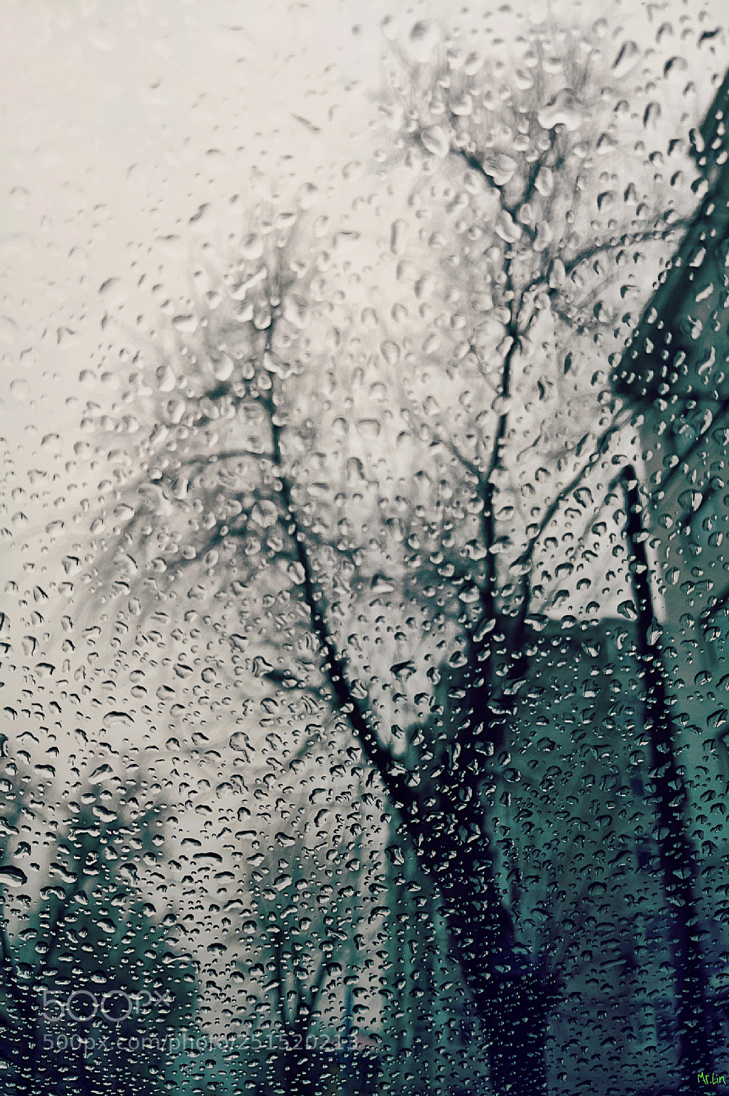 HUAWEI Mate 10 sample photo. Untitled photography