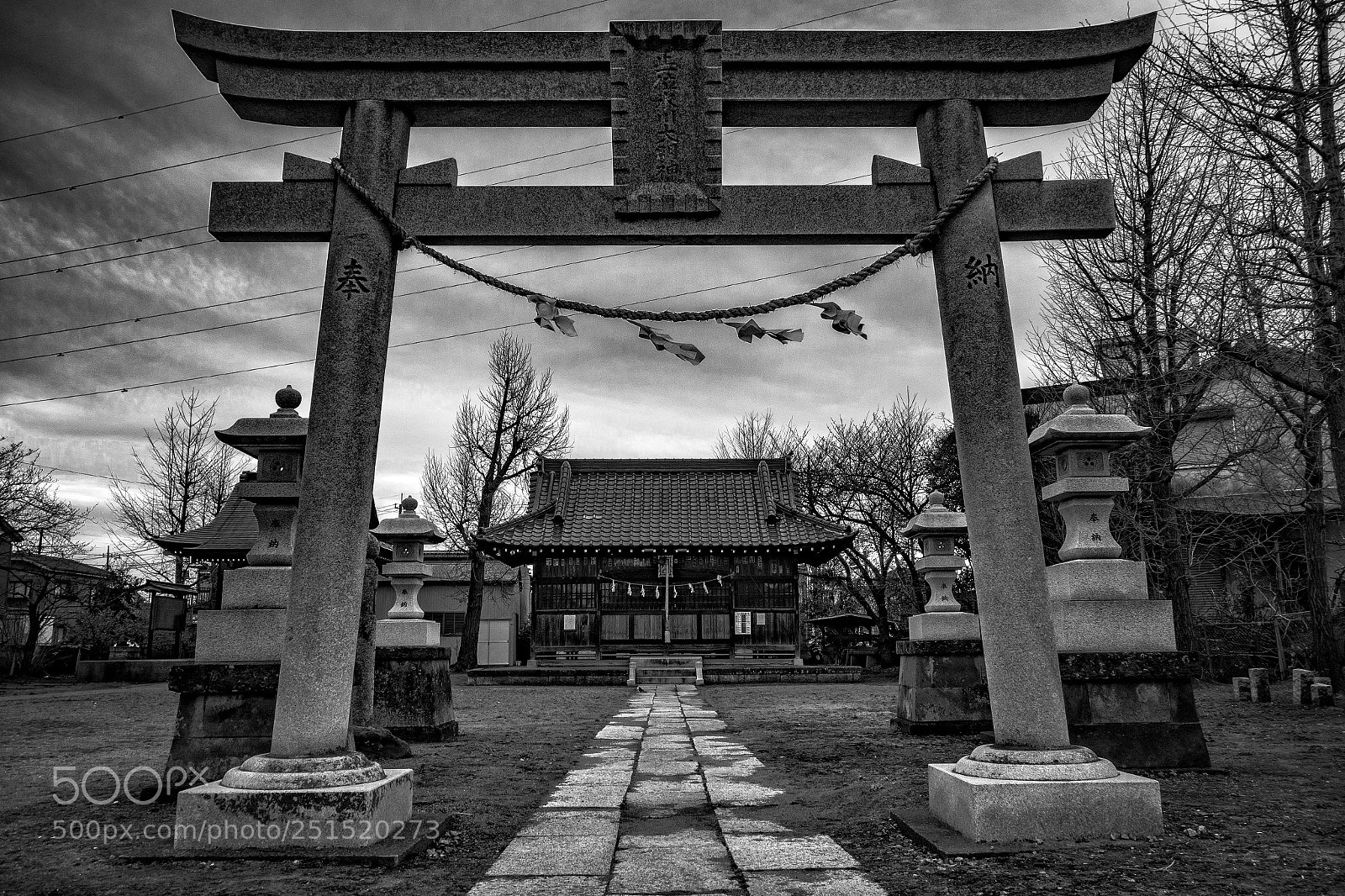 Sony Cyber-shot DSC-RX100 sample photo. Shrine's gate photography