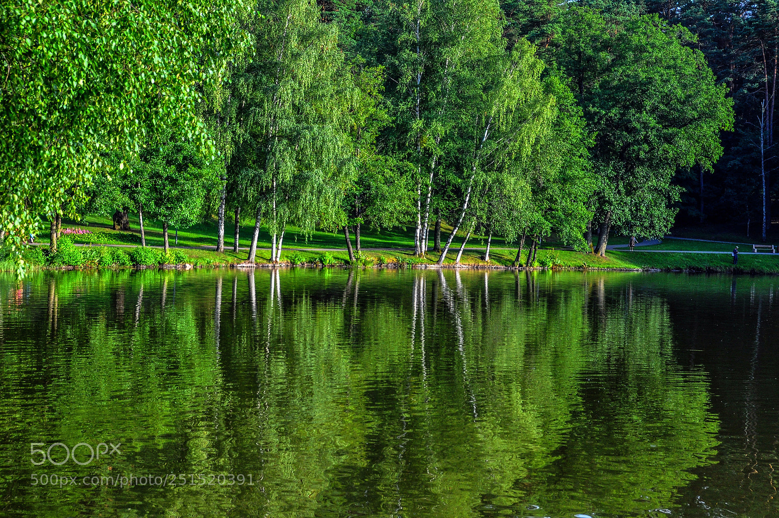 Nikon D90 sample photo. At a lake photography