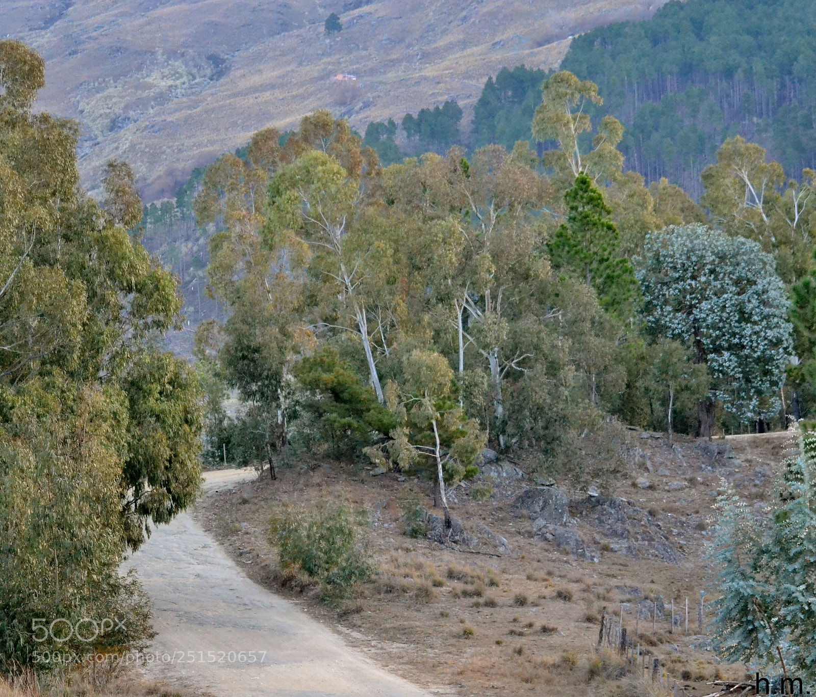 Nikon D3100 sample photo. Dbdffo photography