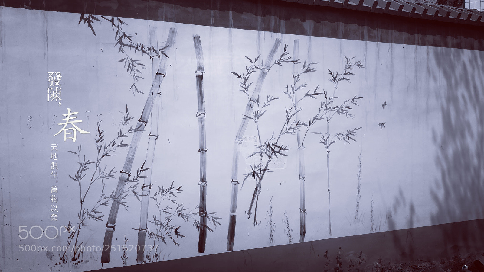 HUAWEI Mate 10 Pro sample photo. Untitled photography